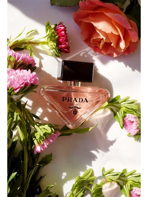 prada paradoxe 10ml|Prada paradoxe perfume sale.